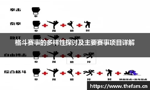 格斗赛事的多样性探讨及主要赛事项目详解