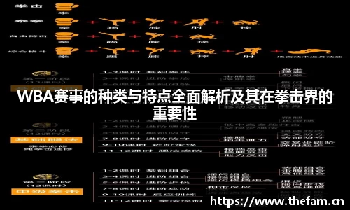 WBA赛事的种类与特点全面解析及其在拳击界的重要性