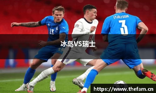 冰岛VS瑞士