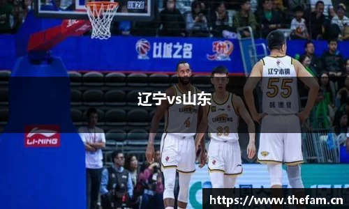 辽宁vs山东