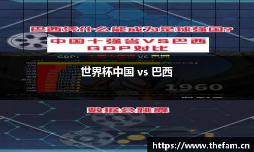 世界杯中国 vs 巴西