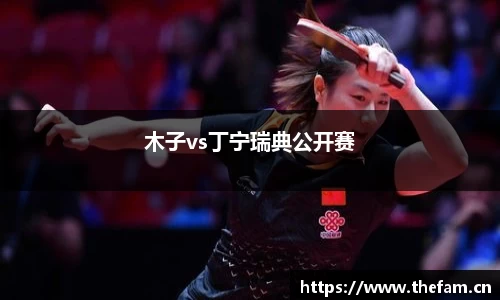 木子vs丁宁瑞典公开赛