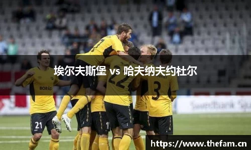 埃尔夫斯堡 vs 哈夫纳夫约杜尔