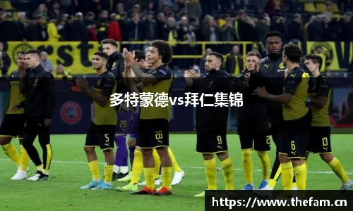 多特蒙德vs拜仁集锦