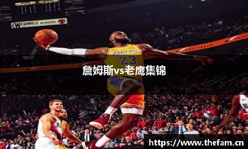 詹姆斯vs老鹰集锦