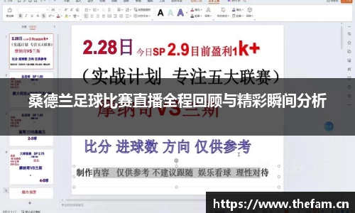 桑德兰足球比赛直播全程回顾与精彩瞬间分析