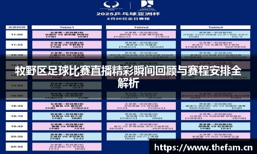 牧野区足球比赛直播精彩瞬间回顾与赛程安排全解析