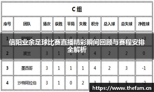 信阳业余足球比赛直播精彩瞬间回顾与赛程安排全解析