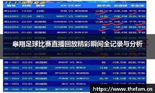 皋翔足球比赛直播回放精彩瞬间全记录与分析
