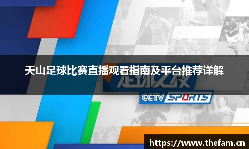 天山足球比赛直播观看指南及平台推荐详解