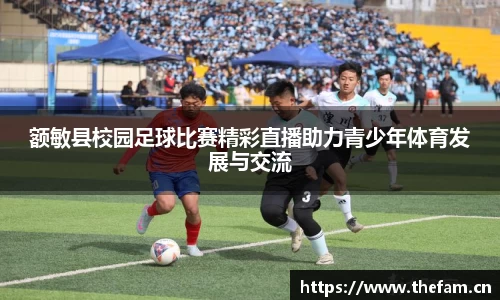 额敏县校园足球比赛精彩直播助力青少年体育发展与交流