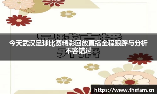 今天武汉足球比赛精彩回放直播全程跟踪与分析不容错过