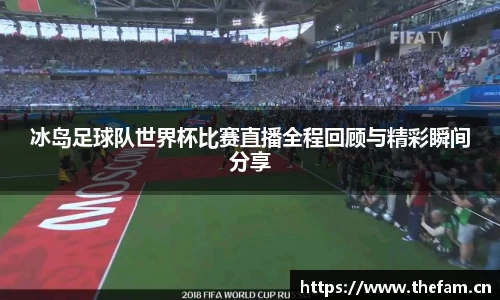 冰岛足球队世界杯比赛直播全程回顾与精彩瞬间分享