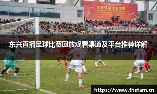 东兴直播足球比赛回放观看渠道及平台推荐详解