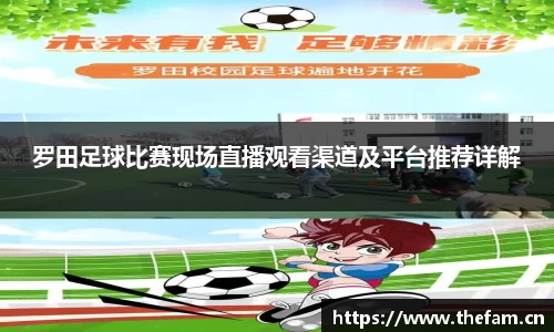 罗田足球比赛现场直播观看渠道及平台推荐详解